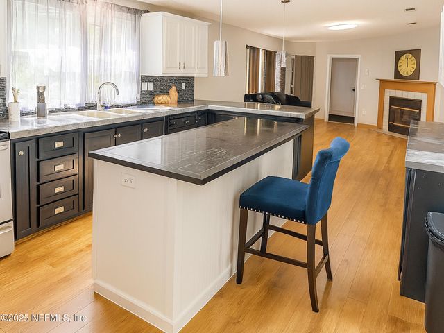 3385 OAK LEAF Lane, Middleburg, FL 32068