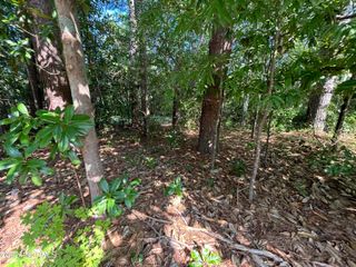 102 W Liberty Street, Williamston, NC 27892