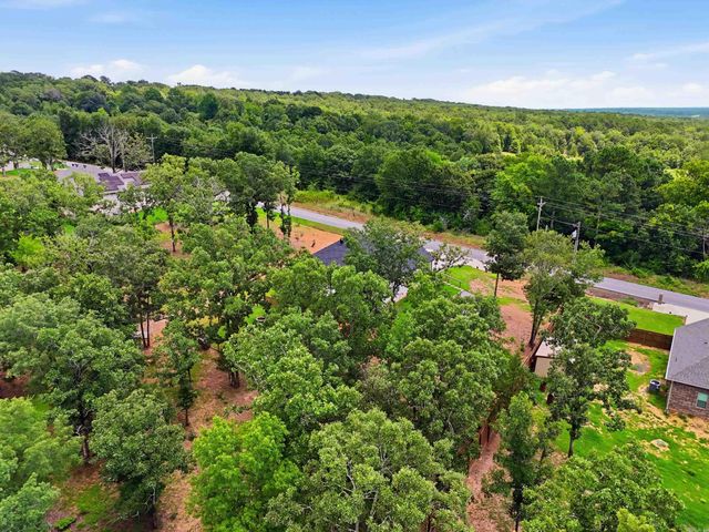 208 Blackjack, Greenbrier, AR 72058