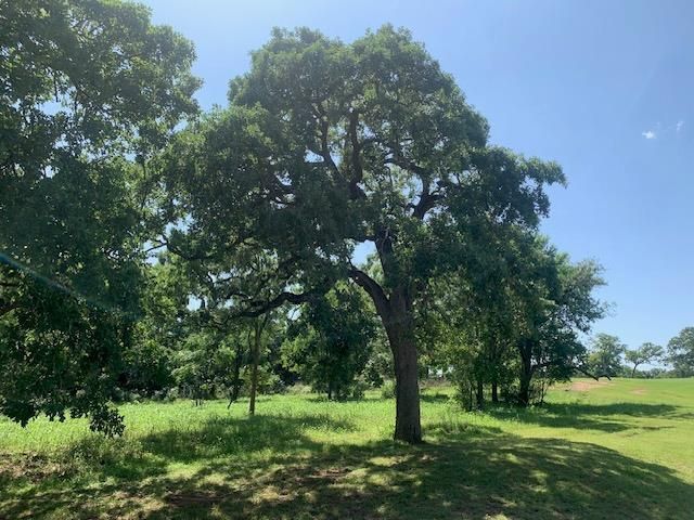 258 Colovista PKWY, Bastrop, TX 78602