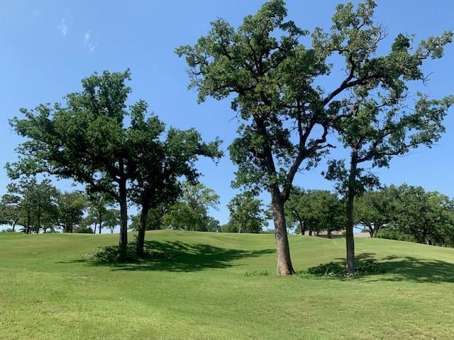 258 Colovista PKWY, Bastrop, TX 78602