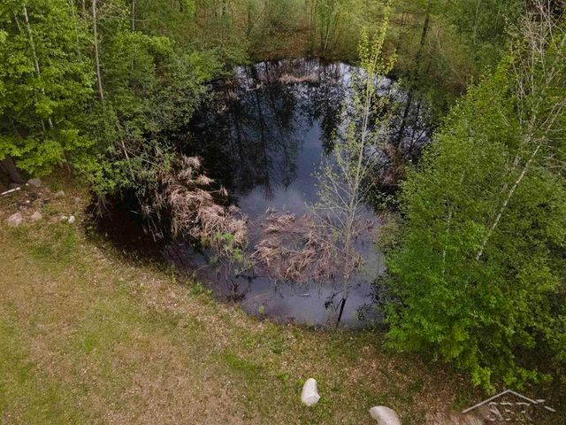 1156 S Alamando Road, Shepherd, MI 48883