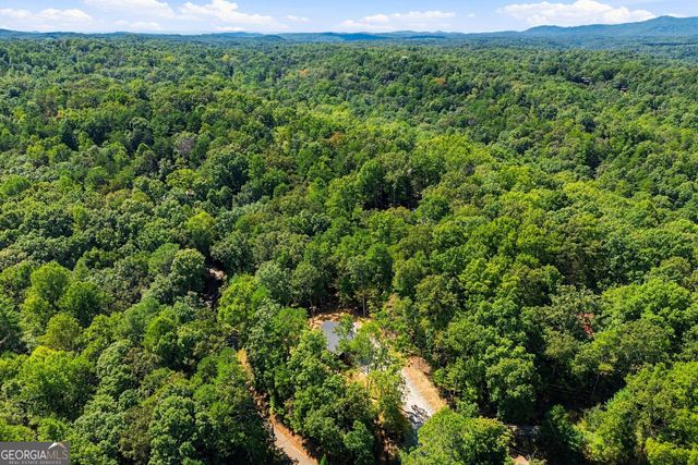 178 Spalding Circle, Ellijay, GA 30540