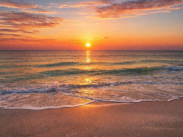 1770 BENJAMIN FRANKLIN DRIVE 206, Sarasota, FL 34236