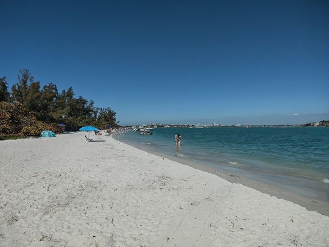 1770 BENJAMIN FRANKLIN DRIVE 206, Sarasota, FL 34236