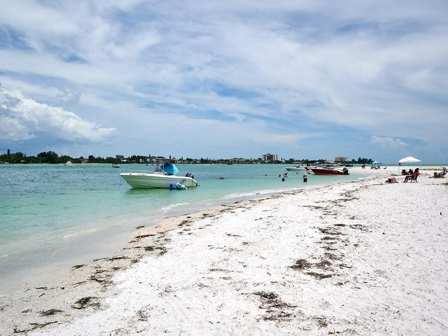 1770 BENJAMIN FRANKLIN DRIVE 206, Sarasota, FL 34236