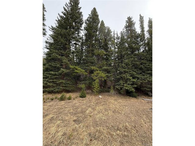 91 Lake Rd, Idaho Springs, CO 80452