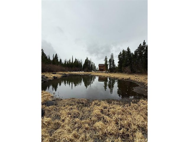 91 Lake Rd, Idaho Springs, CO 80452