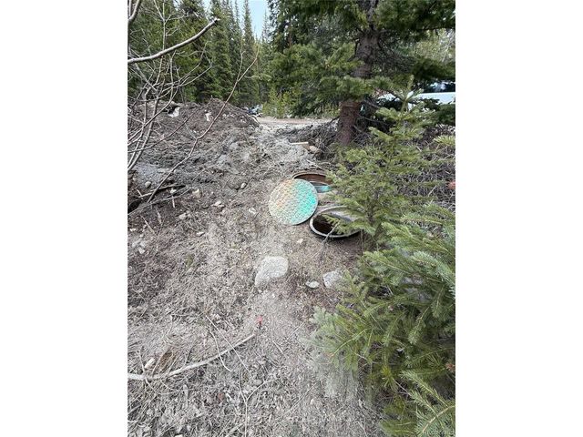 91 Lake Rd, Idaho Springs, CO 80452