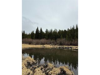91 Lake Rd, Idaho Springs, CO 80452