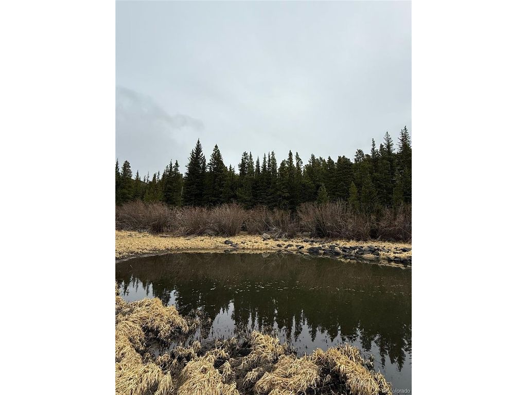 91 Lake Rd, Idaho Springs, CO 80452