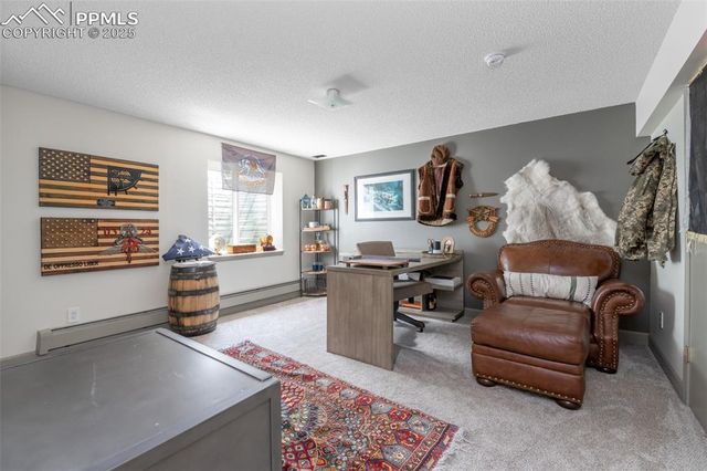 11170 Peaceful Valley Road, Colorado Springs, CO 80925