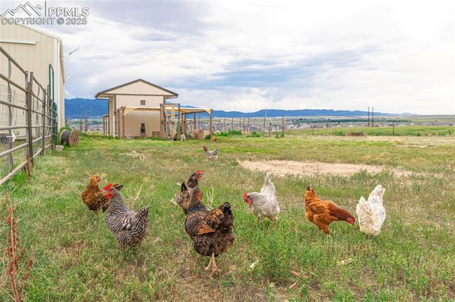 11170 Peaceful Valley Road, Colorado Springs, CO 80925