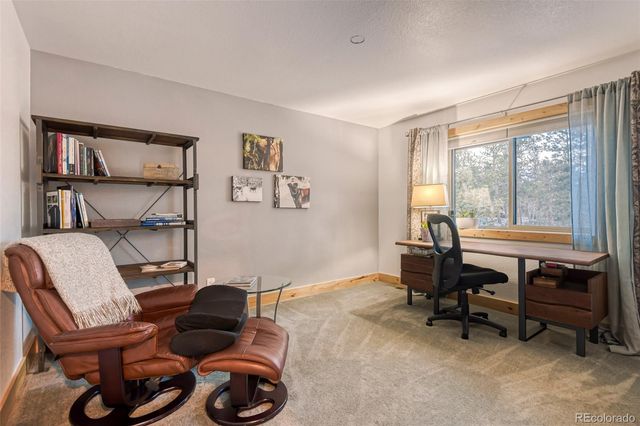 50 El Lobo Lane, Bailey, CO 80421