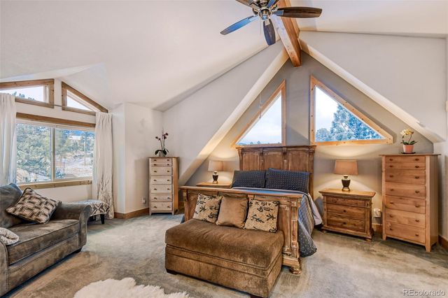 50 El Lobo Lane, Bailey, CO 80421