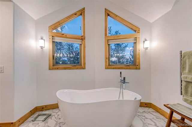 50 El Lobo Lane, Bailey, CO 80421