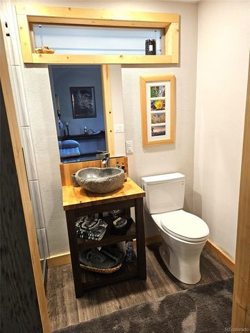 50 El Lobo Lane, Bailey, CO 80421