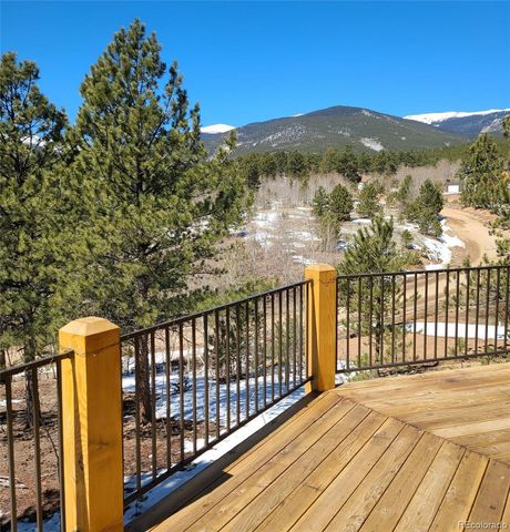 50 El Lobo Lane, Bailey, CO 80421