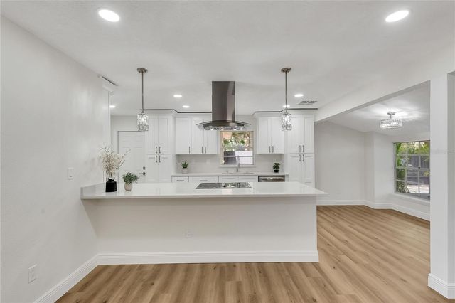 2207 PARKWOOD DRIVE, Valrico, FL 33594