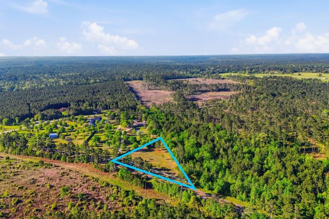 TBD Fm 247, Huntsville, TX 77320