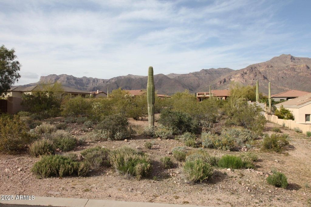 10584 E WALKING STICK Way 4, Gold Canyon, AZ 85118 — exterior