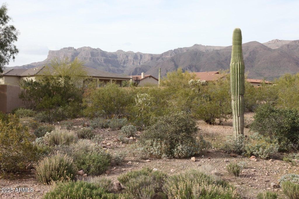 10584 E WALKING STICK Way 4, Gold Canyon, AZ 85118 — photo 2