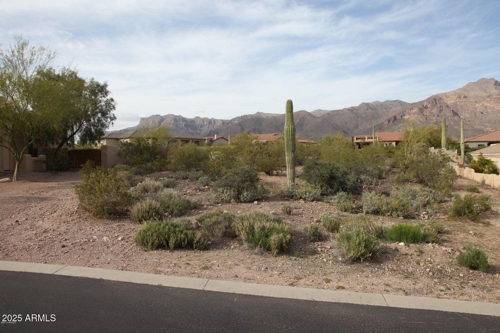 10584 E WALKING STICK Way 4, Gold Canyon, AZ 85118 — photo 4