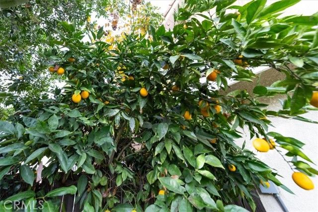 822 Oakhurst Drive, Pomona, CA 91767