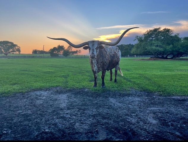 20832 HUNTER HILL DRIVE, Dade City, FL 33523