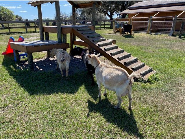 20832 HUNTER HILL DRIVE, Dade City, FL 33523