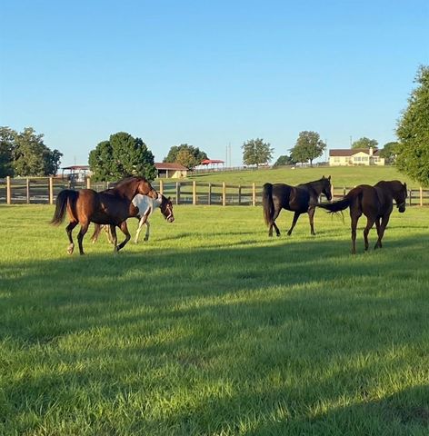 20832 HUNTER HILL DRIVE, Dade City, FL 33523