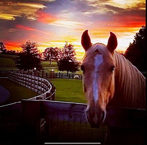 20832 HUNTER HILL DRIVE, Dade City, FL 33523