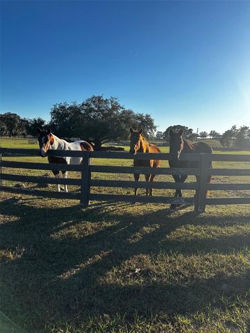 20832 HUNTER HILL DRIVE, Dade City, FL 33523