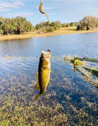 20832 HUNTER HILL DRIVE, Dade City, FL 33523