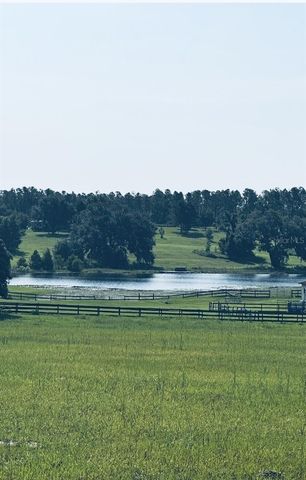 20832 HUNTER HILL DRIVE, Dade City, FL 33523