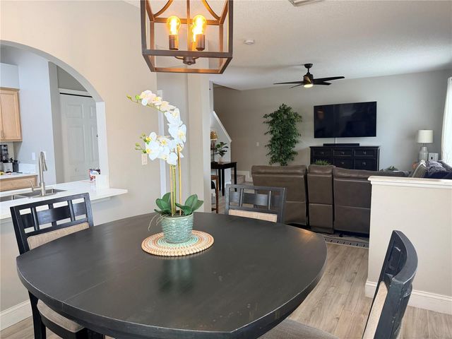 18120 PARADISE POINT DRIVE, Tampa, FL 33647