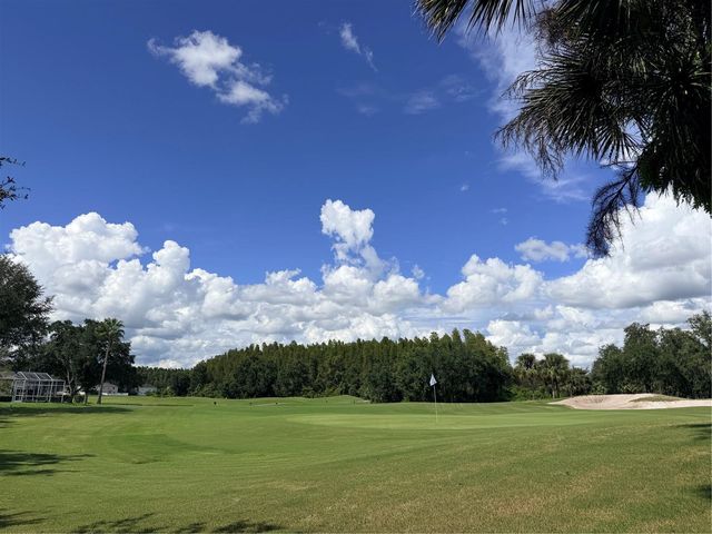 18120 PARADISE POINT DRIVE, Tampa, FL 33647