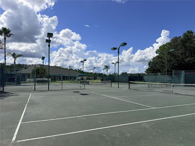 18120 PARADISE POINT DRIVE, Tampa, FL 33647