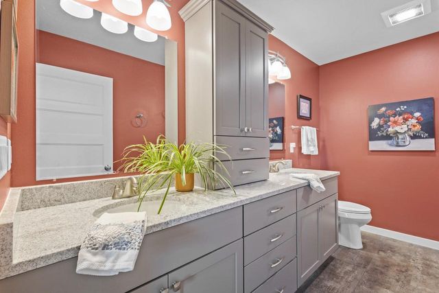 1317 Black Stallion Drive, Madison, WI 53718