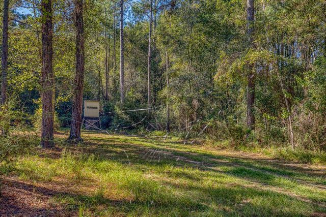 1650 Bear Bay Flats Rd Road, Laurel Hill, FL 32567