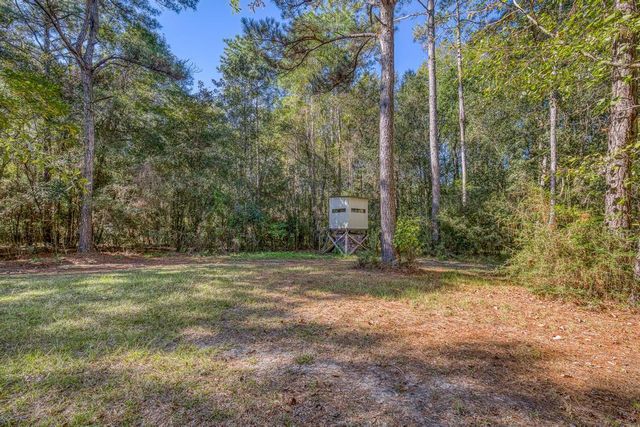 1650 Bear Bay Flats Rd Road, Laurel Hill, FL 32567