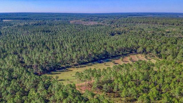 1650 Bear Bay Flats Rd Road, Laurel Hill, FL 32567