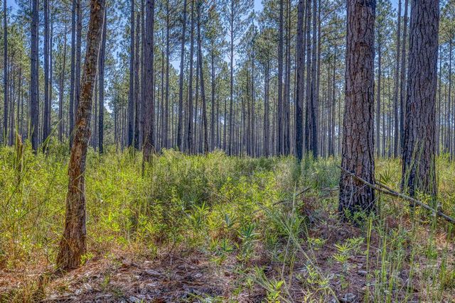 1650 Bear Bay Flats Rd Road, Laurel Hill, FL 32567