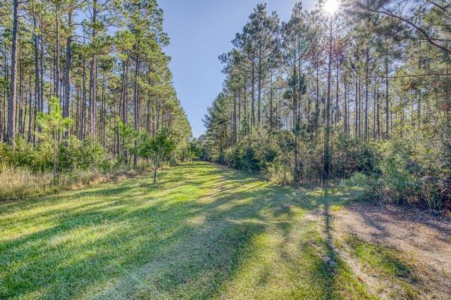1650 Bear Bay Flats Rd Road, Laurel Hill, FL 32567