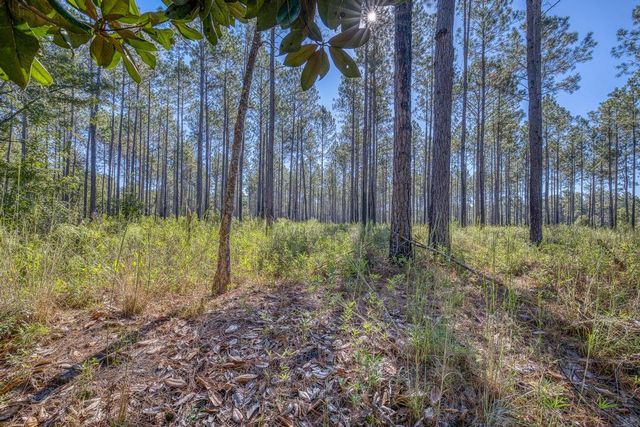 1650 Bear Bay Flats Rd Road, Laurel Hill, FL 32567