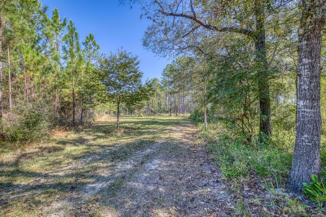 1650 Bear Bay Flats Rd Road, Laurel Hill, FL 32567