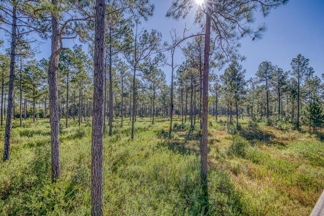 1650 Bear Bay Flats Rd Road, Laurel Hill, FL 32567