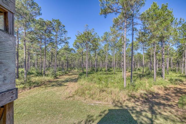 1650 Bear Bay Flats Rd Road, Laurel Hill, FL 32567