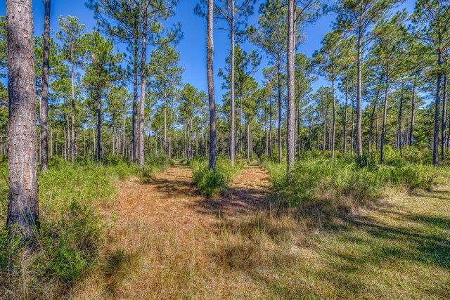 1650 Bear Bay Flats Rd Road, Laurel Hill, FL 32567