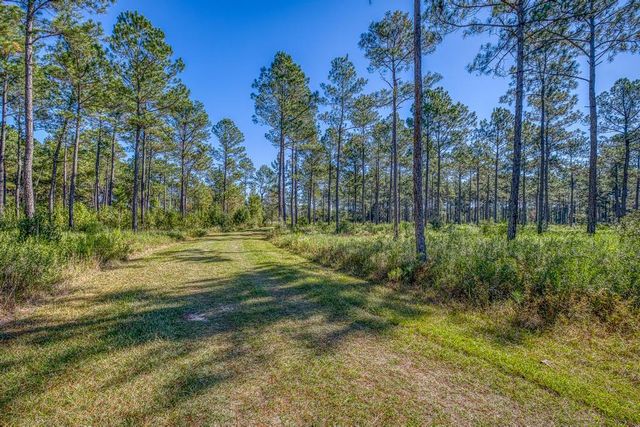1650 Bear Bay Flats Rd Road, Laurel Hill, FL 32567